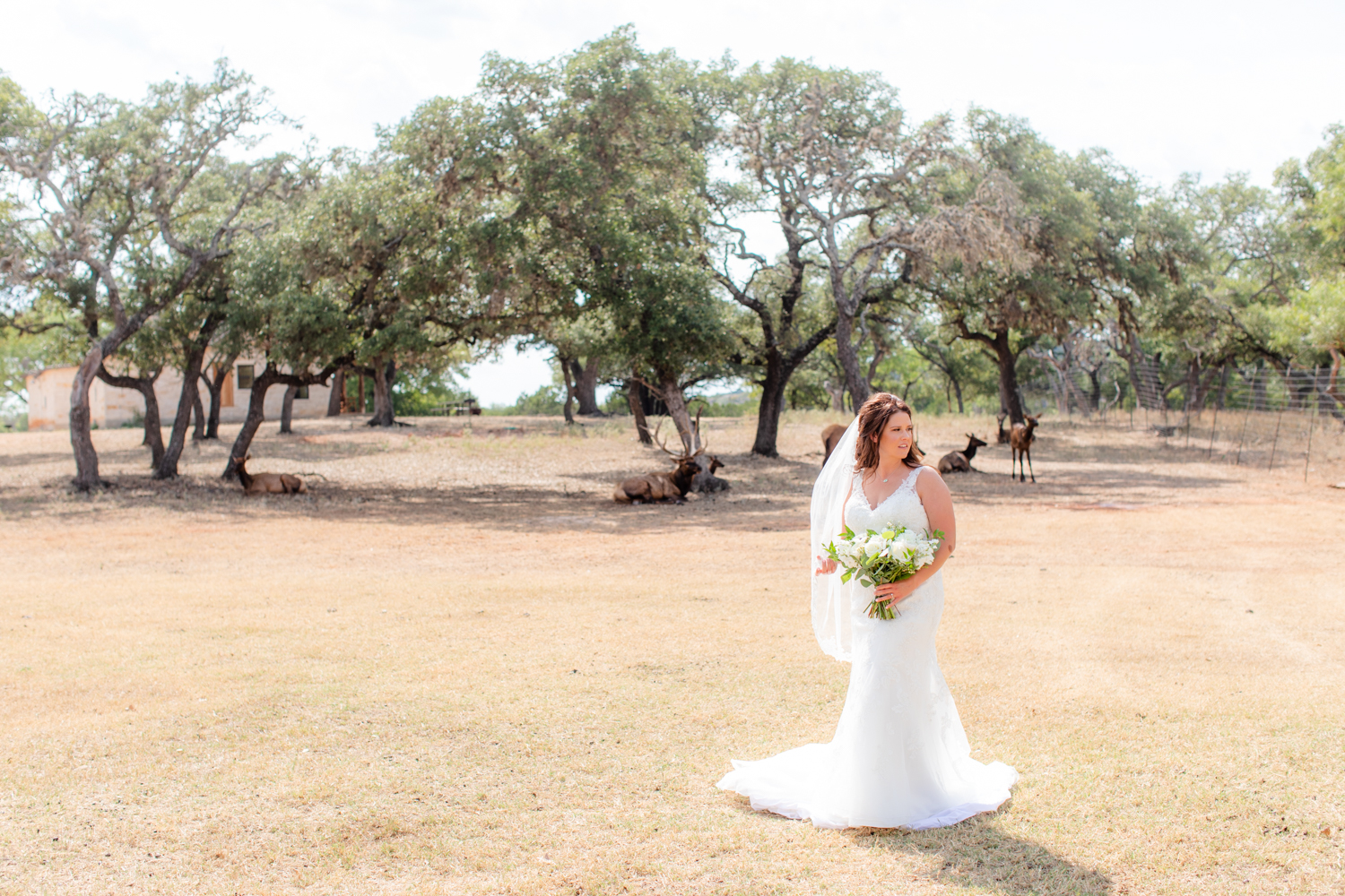 fredericksburg-wedding-photographer