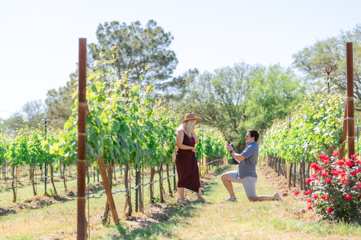 Proposal-at-winery-fredericksburg-tx