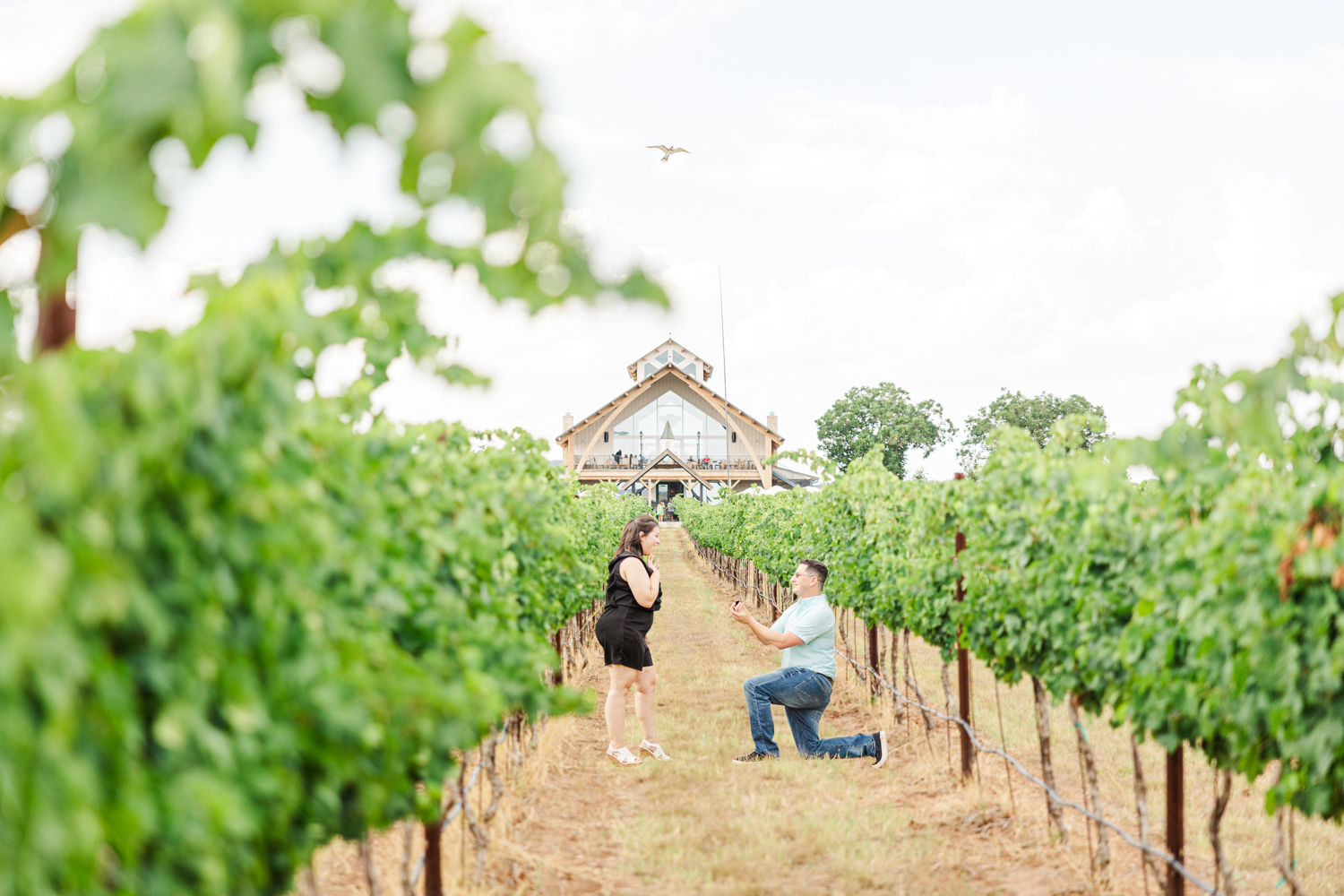 Fredericksburg-proposal-photographer