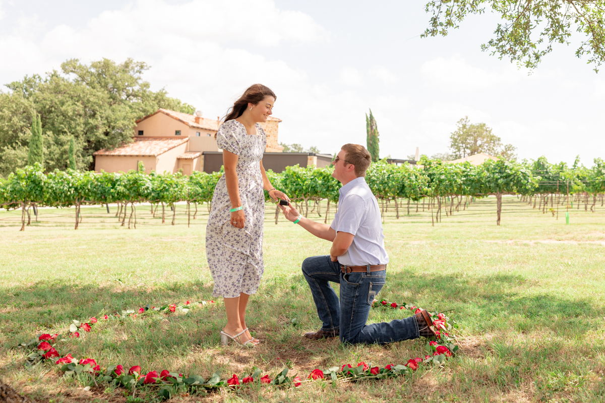 grape-creek-vineyards-proposal